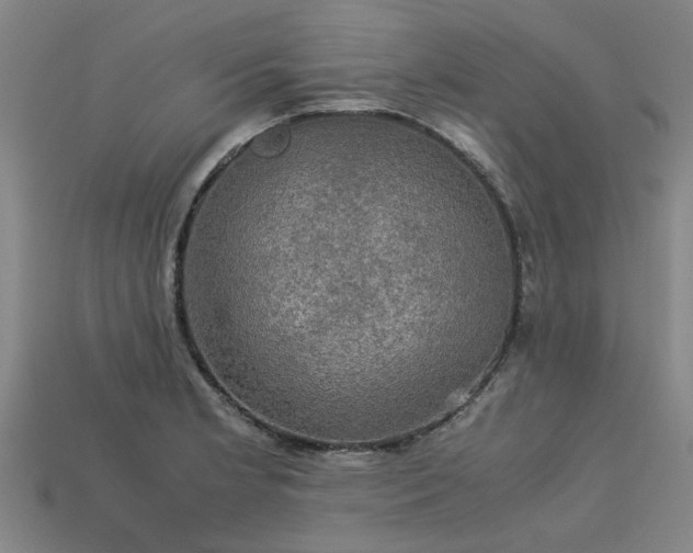 X0000113601181200909251150