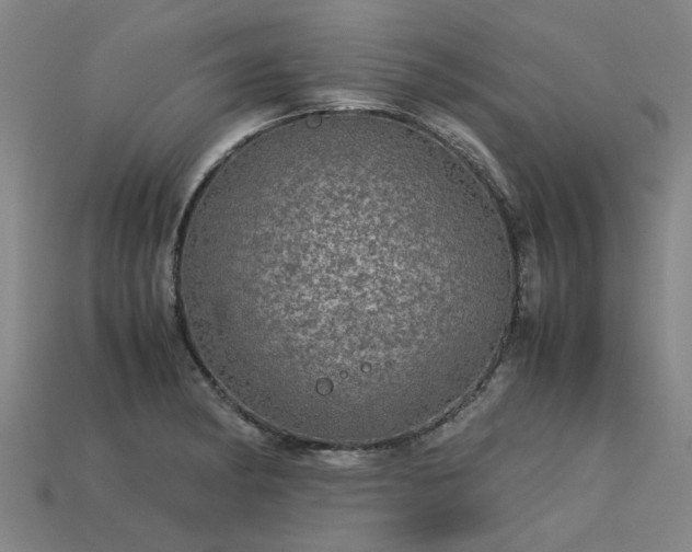 X0000113601182200909251150