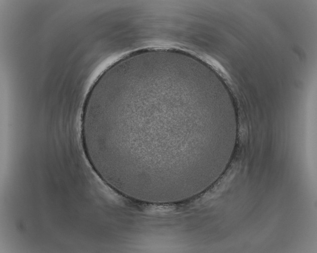 X0000113601183200909251150