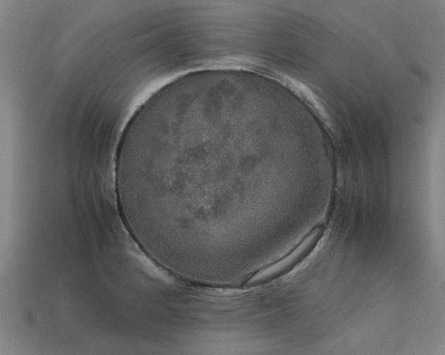 X0000113601184200909251150