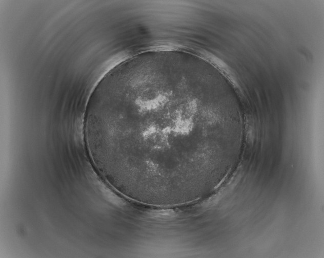 X0000113601186200909251150