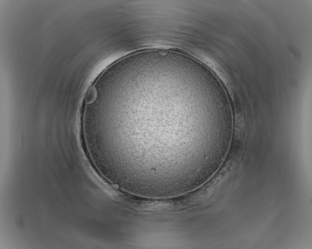 X0000113601187200909251150