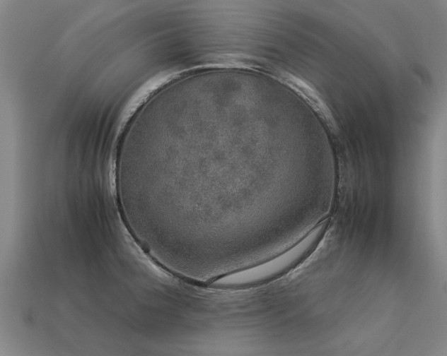 X0000113601188200909251150