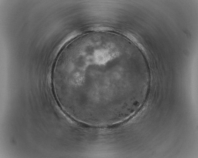 X0000113601189200909251150