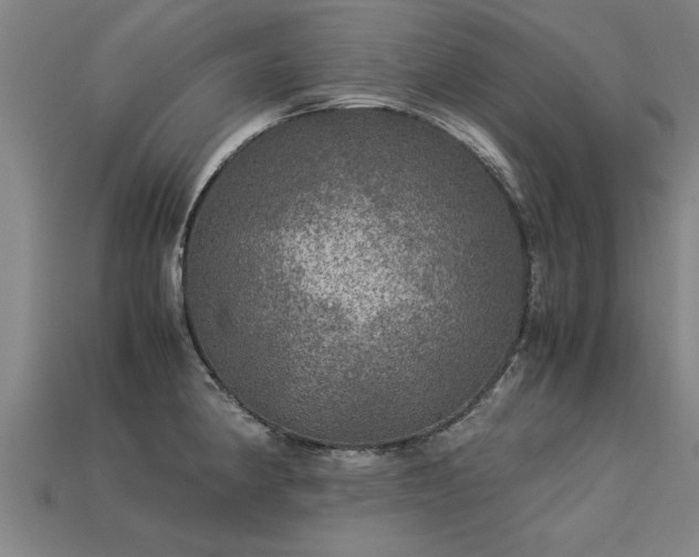 X0000113601190200909251150