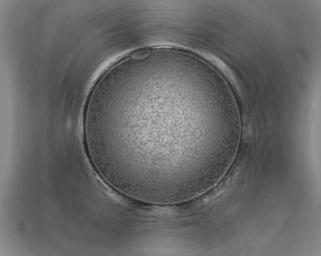 X0000113601191200909251150