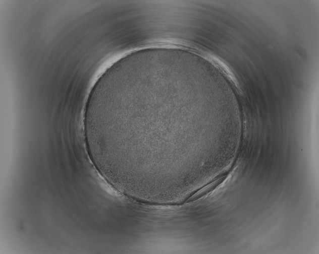 X0000113601192200909251150