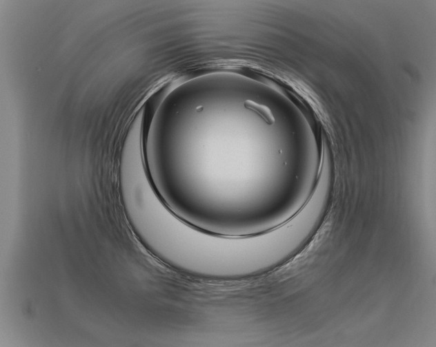 X0000113601193200909251150