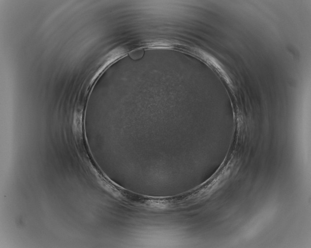 X0000113601194200909251150