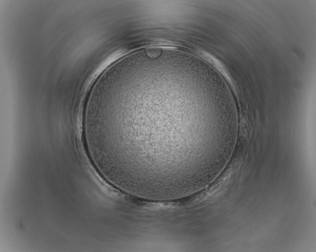 X0000113601195200909251150