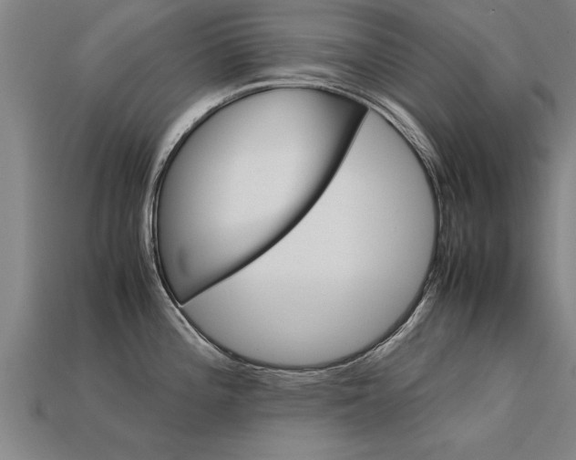 X0000113601196200909251150