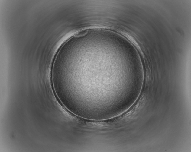 X0000113601197200909251150