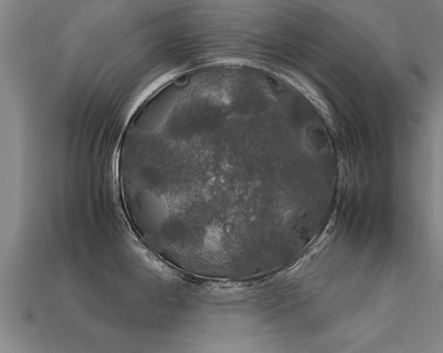 X0000113601198200909251150