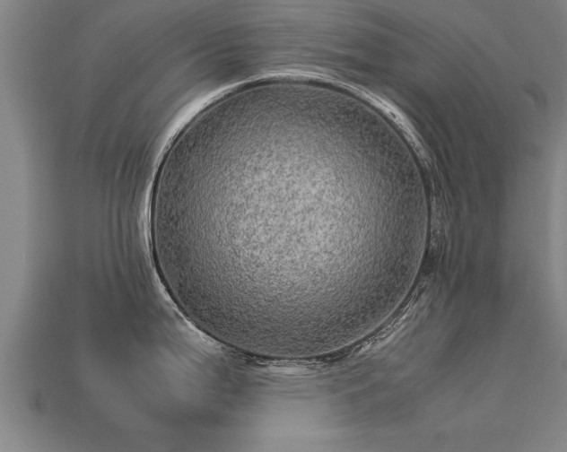 X0000113601199200909251150