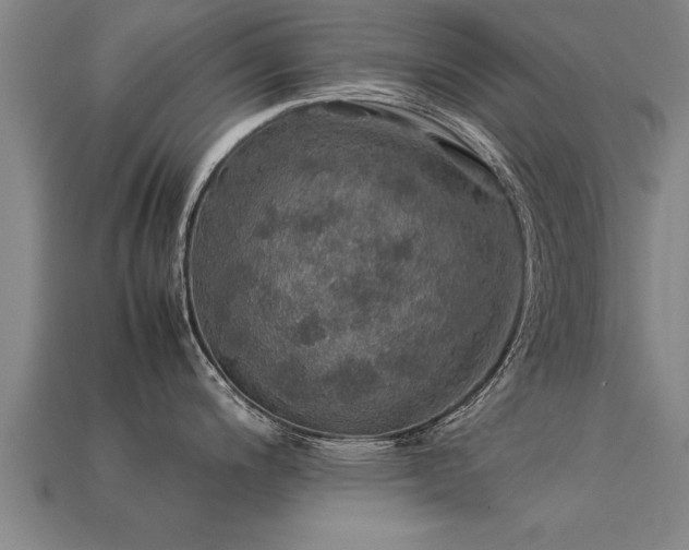 X0000113601200200909251150