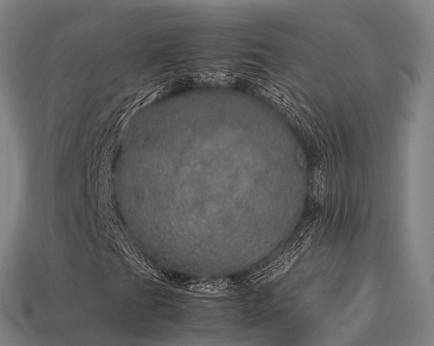 X0000113601201200909251149