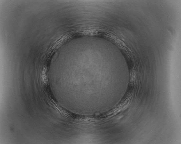 X0000113601202200909251149