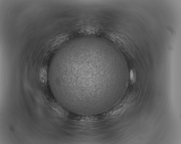 X0000113601203200909251149