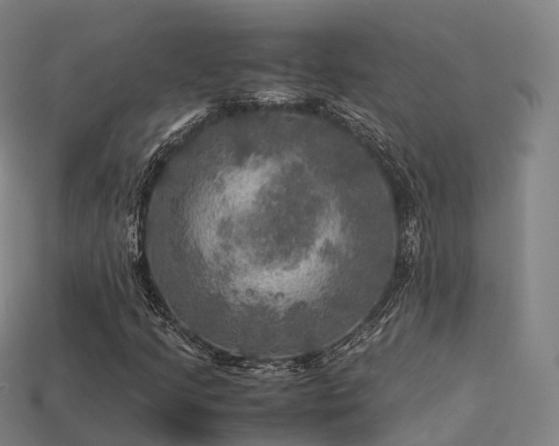 X0000113601205200909251149