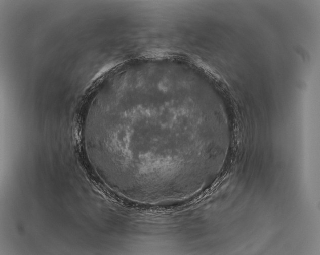 X0000113601206200909251149