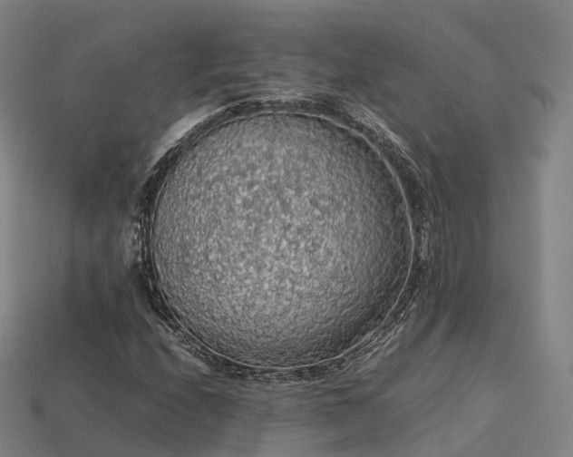 X0000113601208200909251149