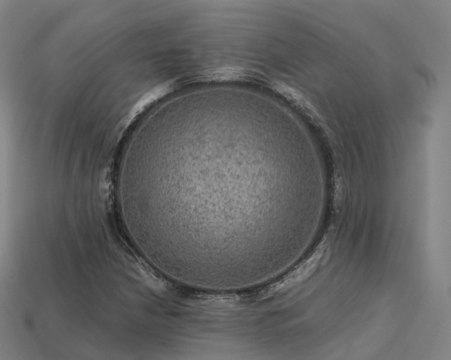 X0000113601210200909251149