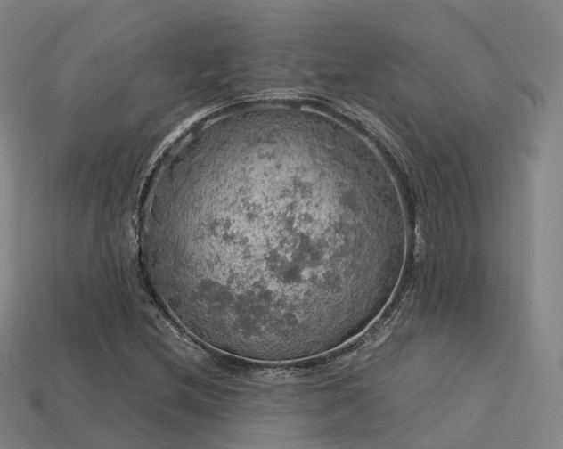 X0000113601212200909251149