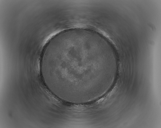 X0000113601214200909251149