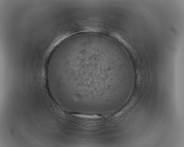 X0000113601215200909251149