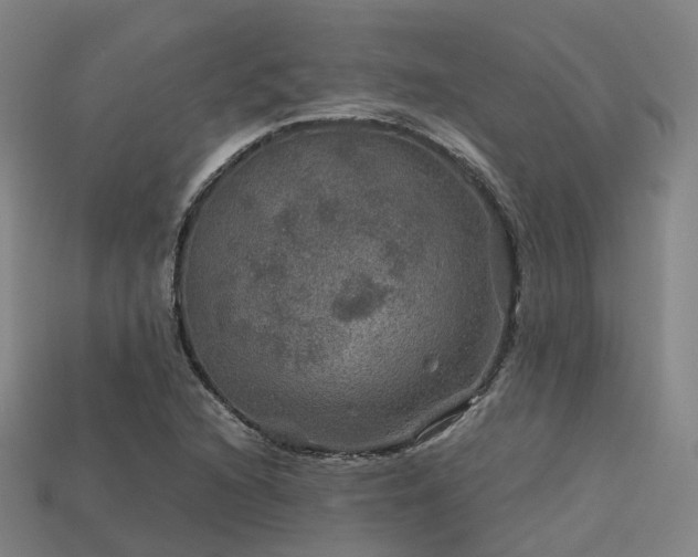 X0000113601216200909251149