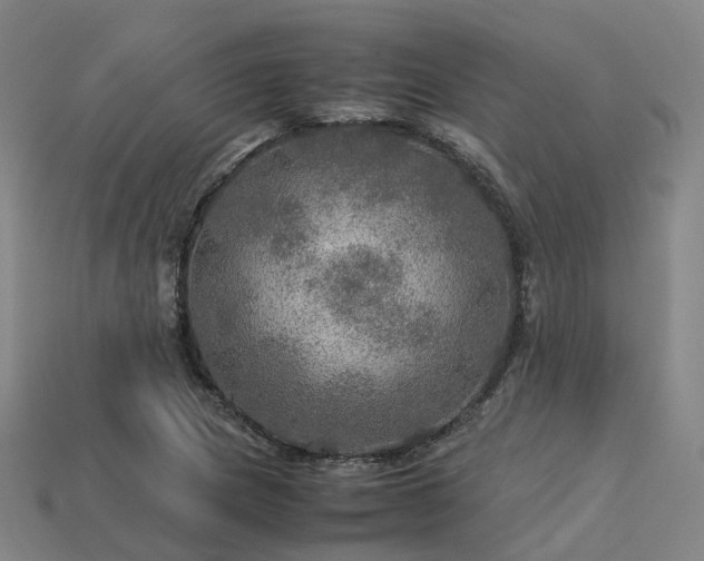 X0000113601217200909251149