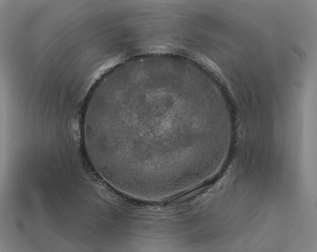 X0000113601218200909251149