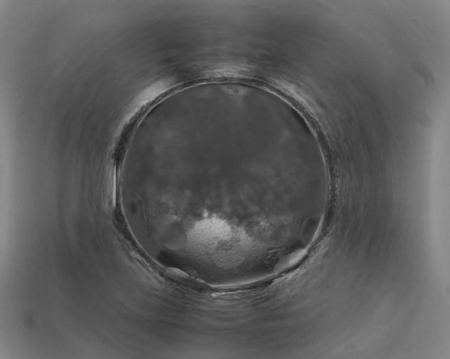 X0000113601219200909251149