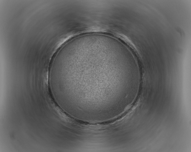 X0000113601220200909251149