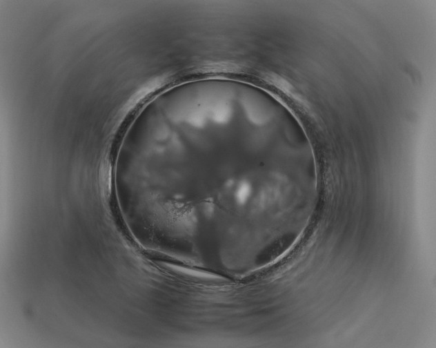 X0000113601221200909251149