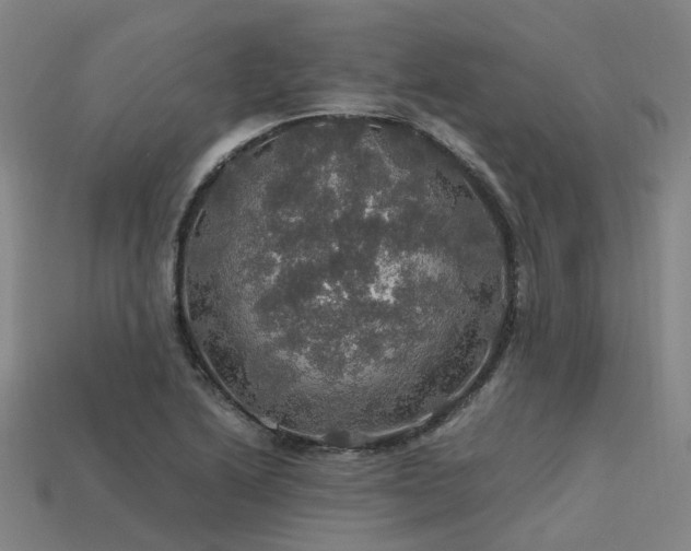 X0000113601222200909251149