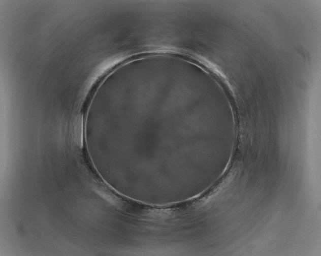 X0000113601223200909251149