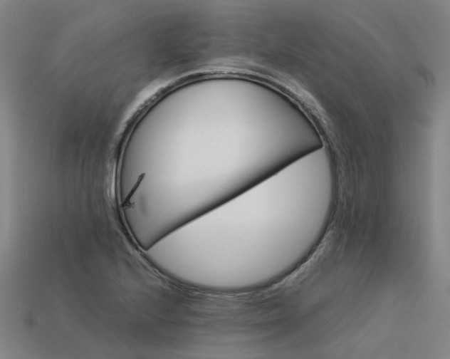 X0000113601224200909251149