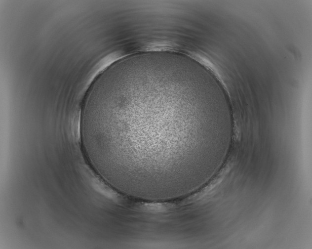 X0000113601227200909251149