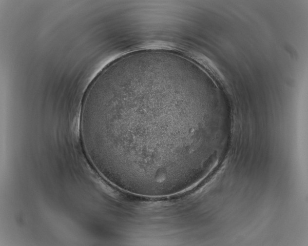 X0000113601228200909251149