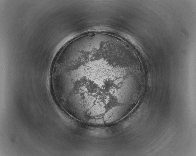 X0000113601229200909251149