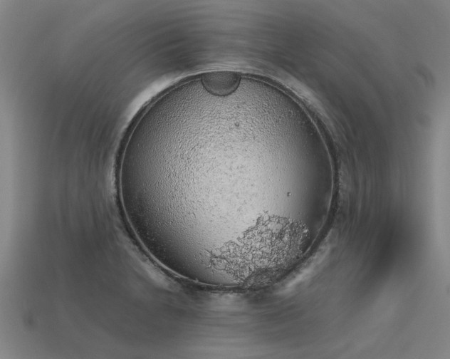 X0000113601230200909251149