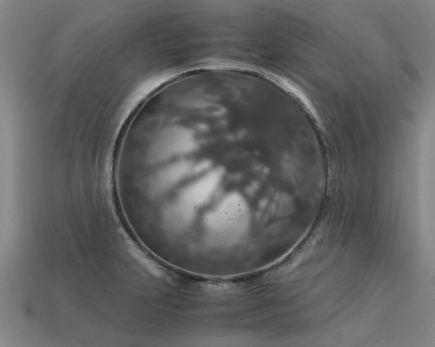 X0000113601231200909251149