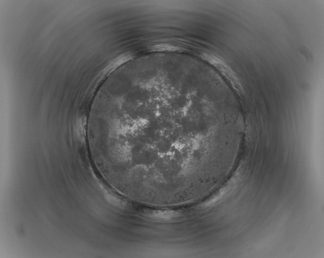 X0000113601233200909251149