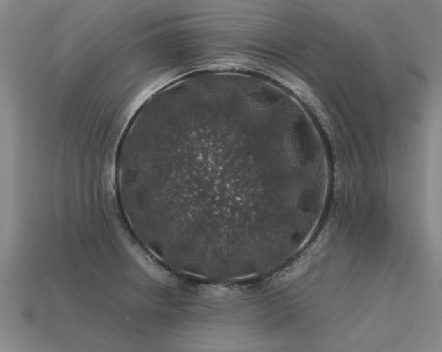 X0000113601234200909251149