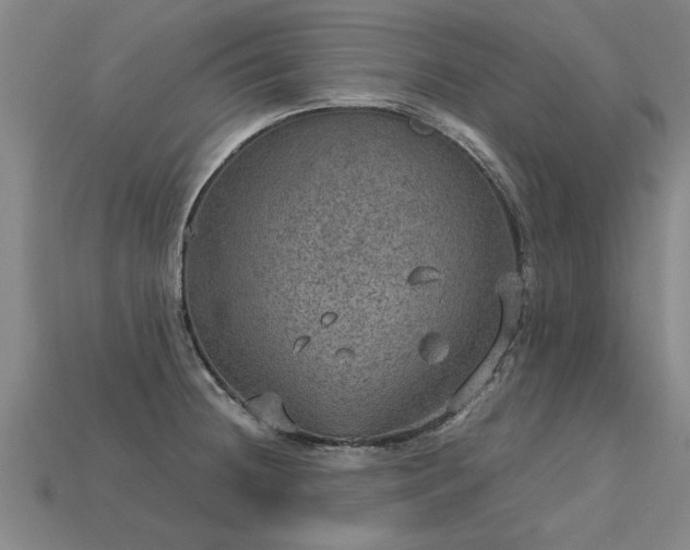 X0000113601236200909251149