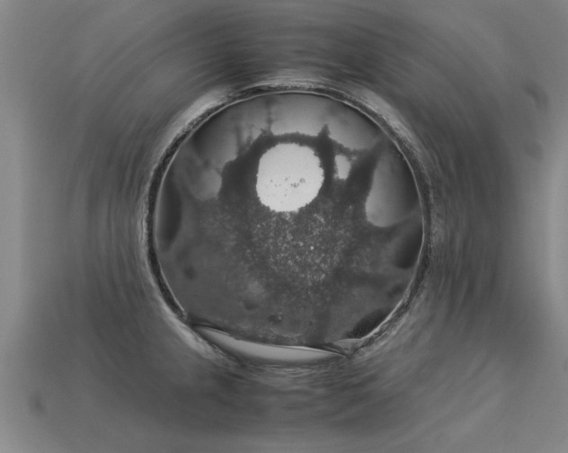 X0000113601237200909251149