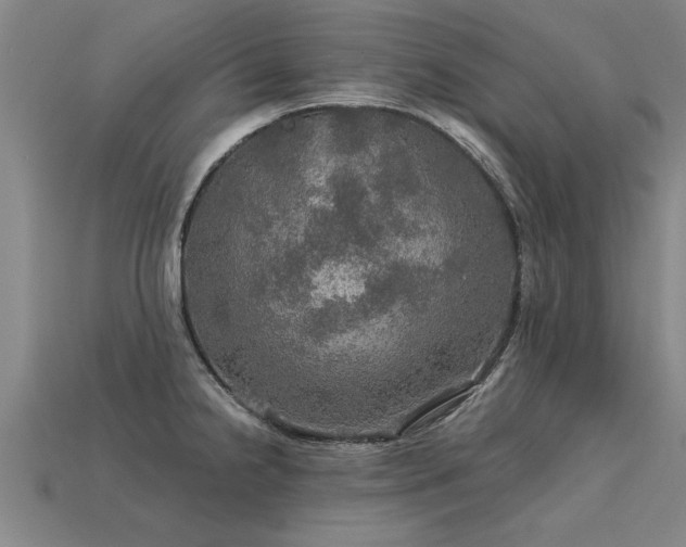 X0000113601238200909251149