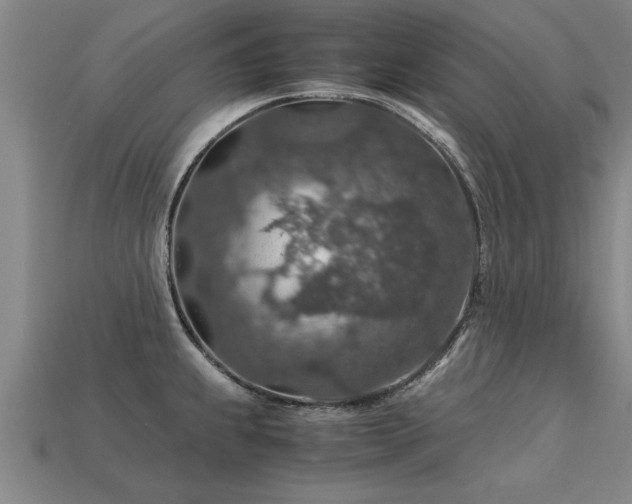 X0000113601239200909251149