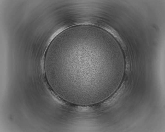 X0000113601242200909251149